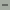 Schriftgre -