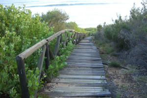 Brücke Brücke